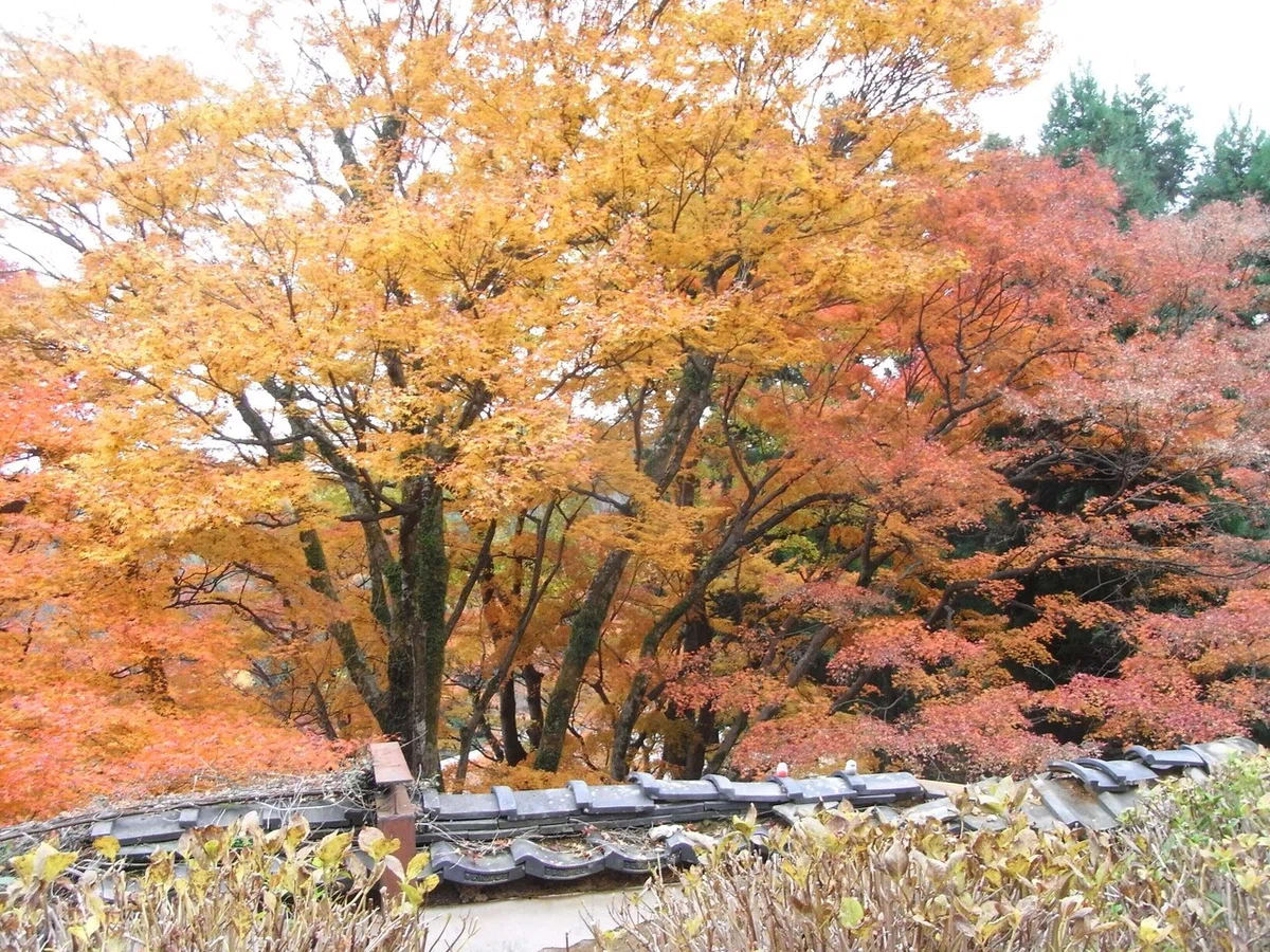 画像45
