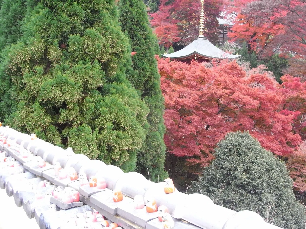 画像46
