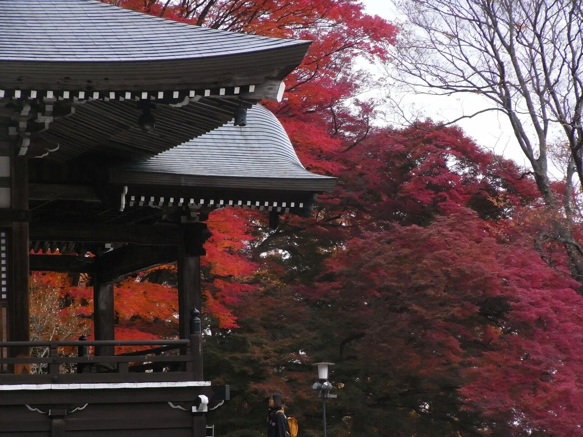 画像47