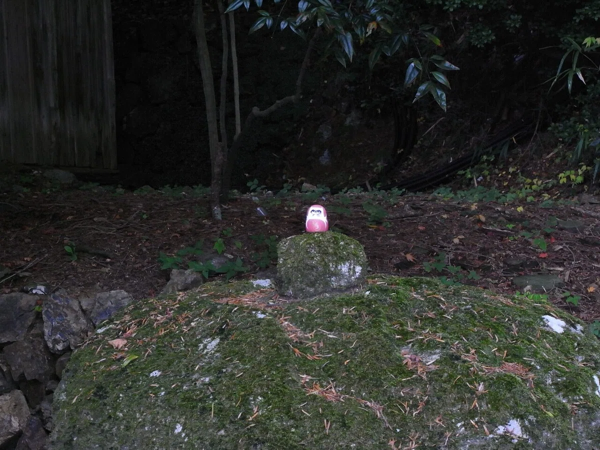 画像48