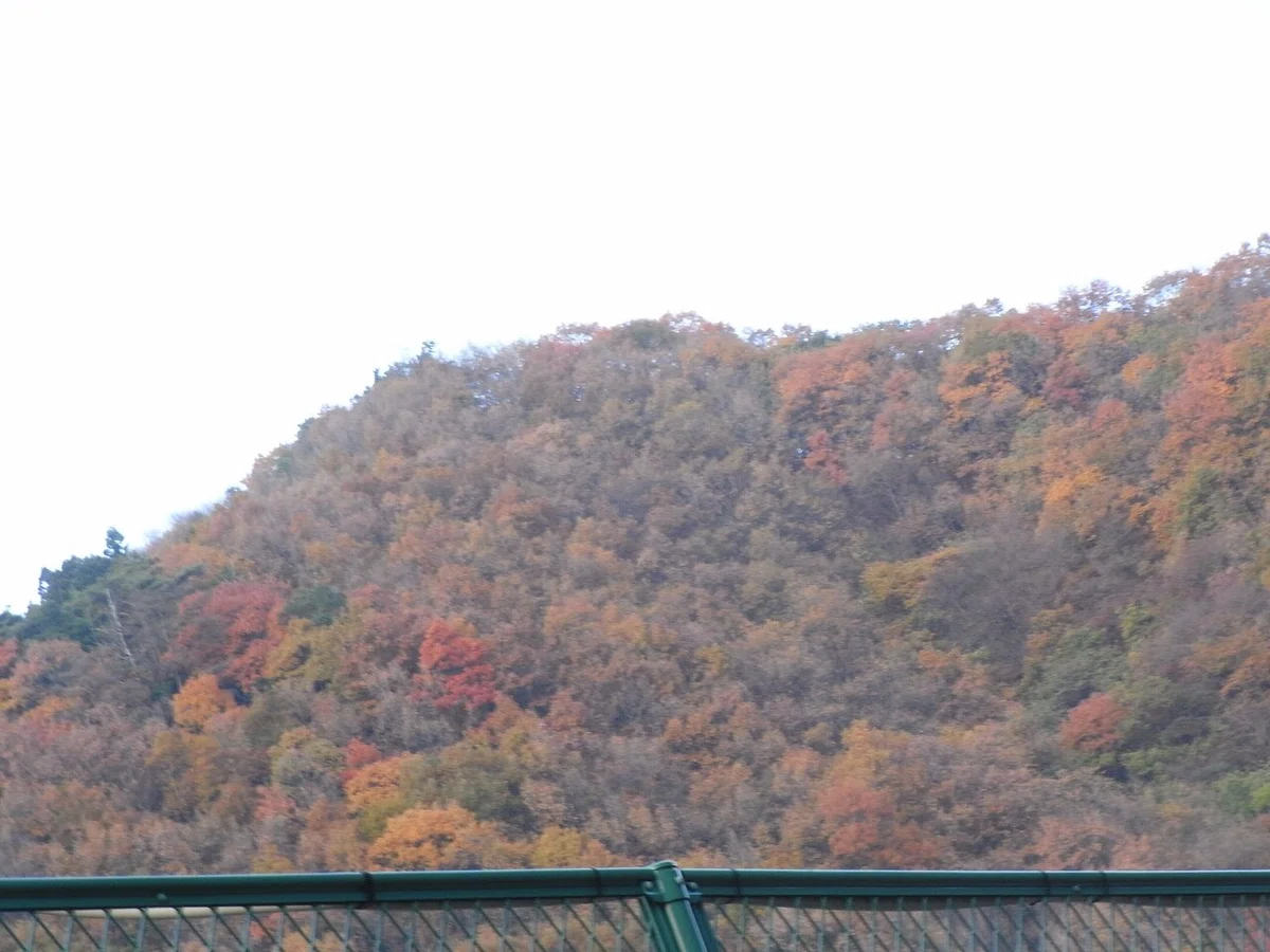 画像50