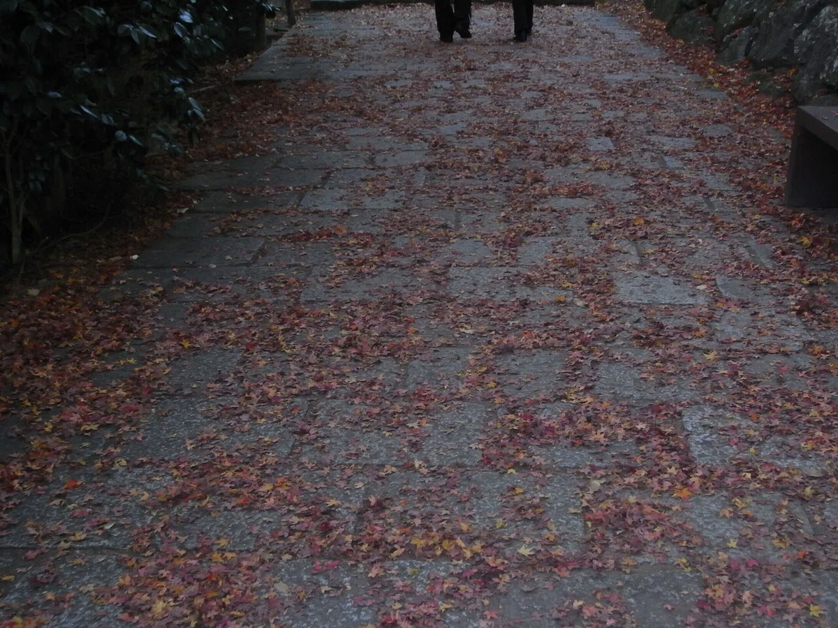 画像50