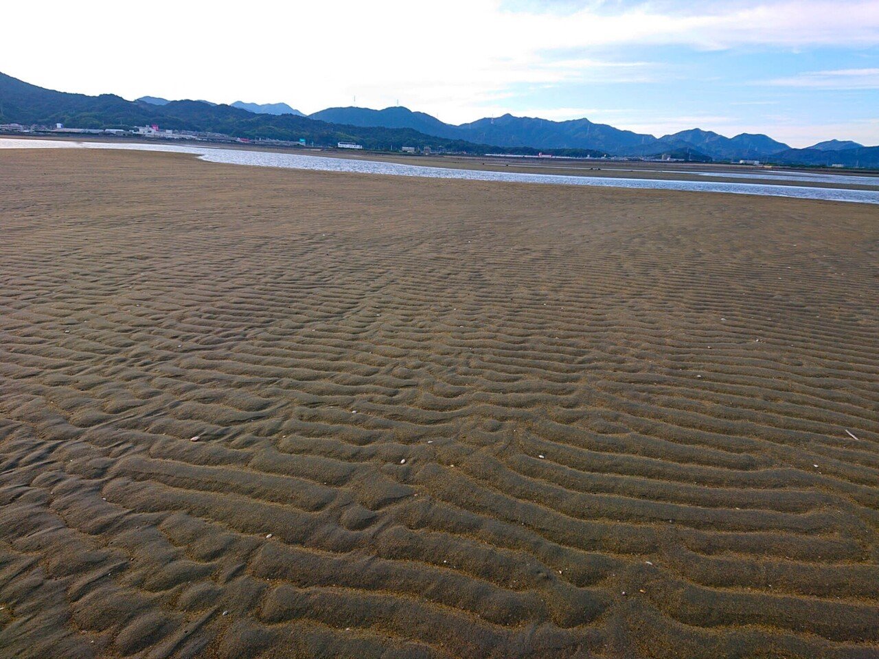 日常 今日も草刈や事務仕事など色々して、干潮に合わせて干潟へ。 ひたすら広大な干潟を歩き回って、ゴカイを探す。 でも、狙ったゴカイは今日も
