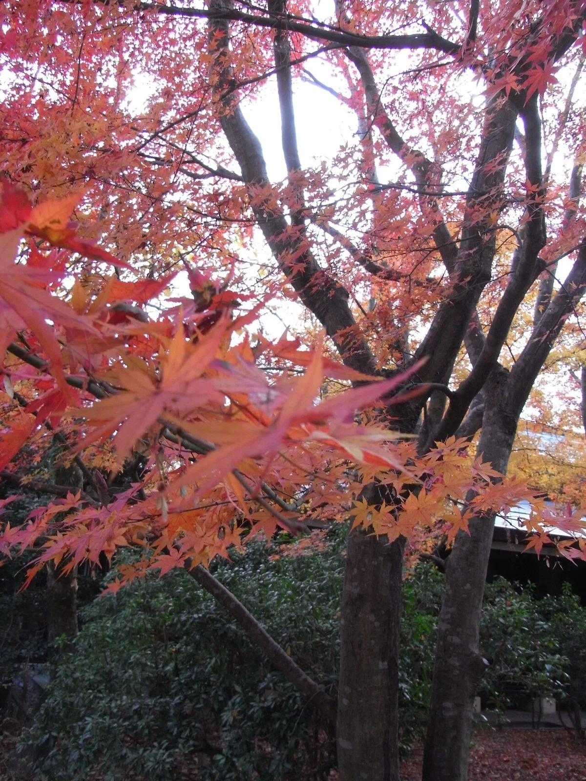 画像53