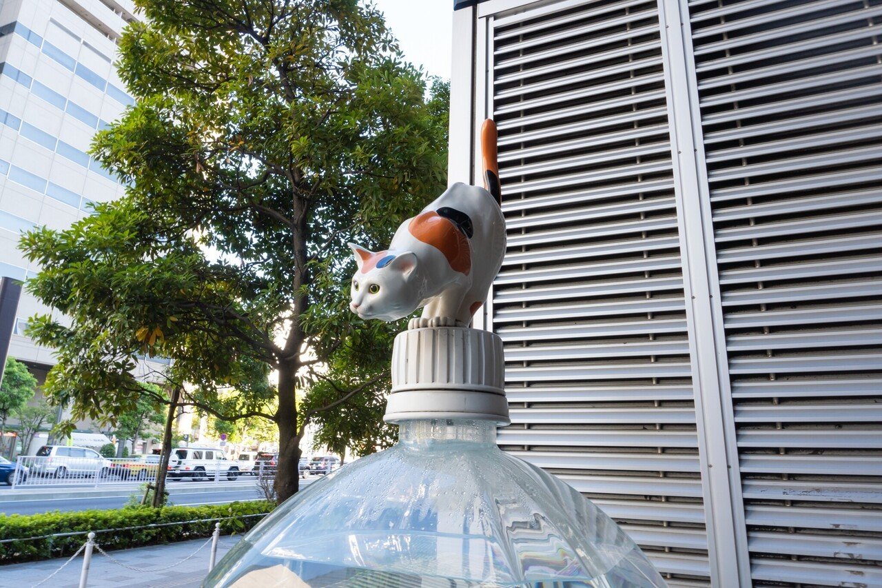 限定テスト版　美術写真 ≪予約≫【予約期間:2025年5月7日(水)-2025年6月30日(月)am9:00