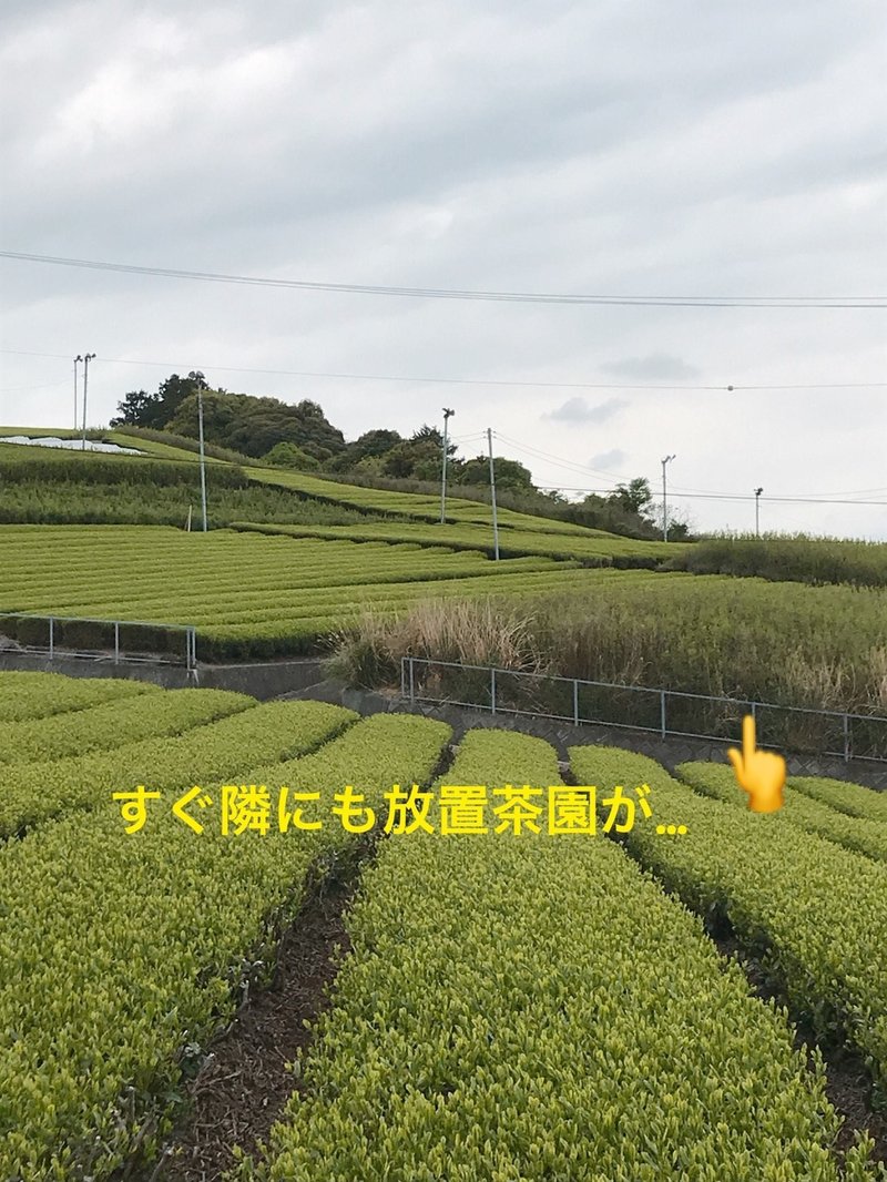 作り手の想い 汗と努力の結晶を伝えたい 伊藤 尚哉 Naoya Ito Note 作り手の想い 汗と努力の結晶を伝えたい 伊藤 尚哉 Naoya Ito Note
