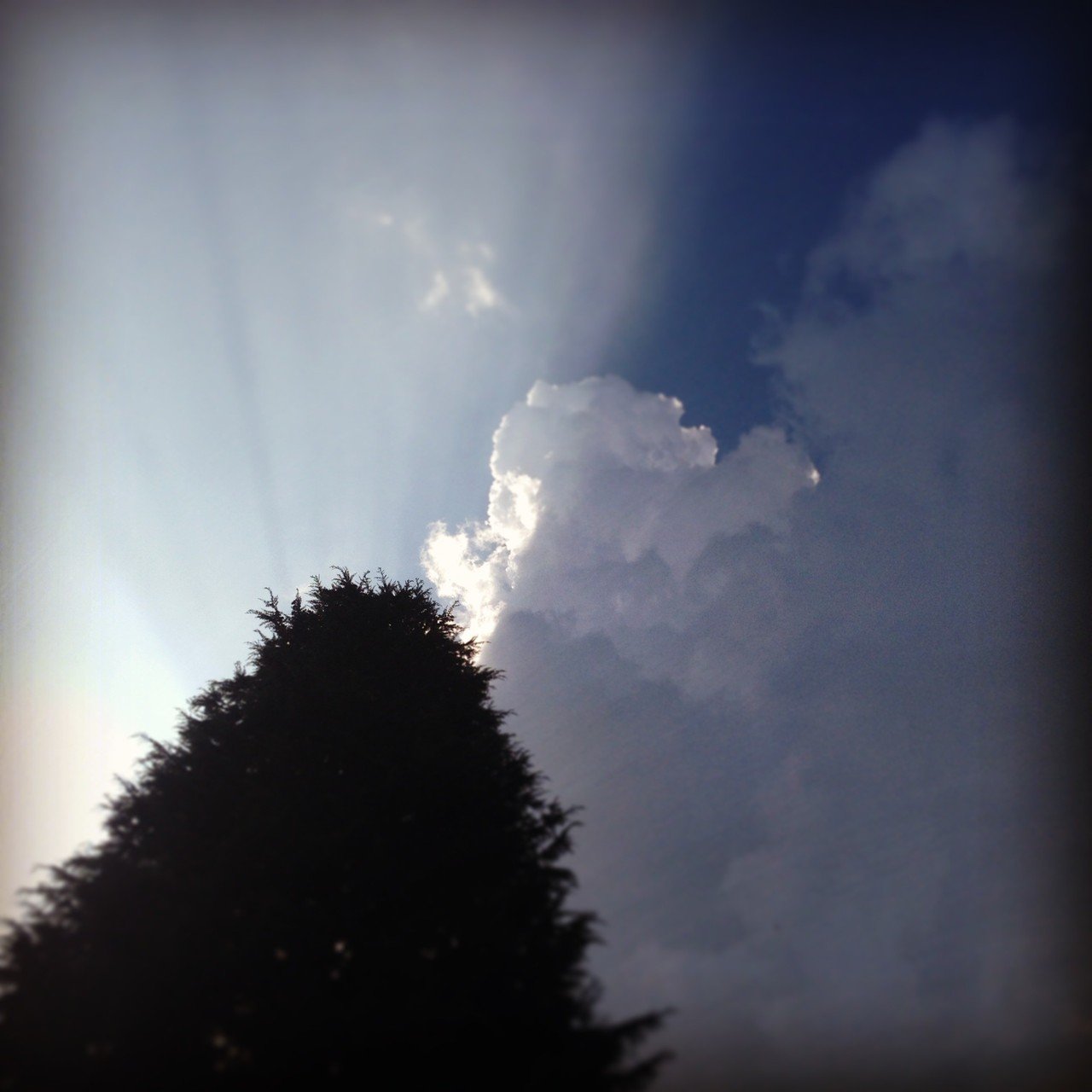 入道雲 夏の季語 冬月瑞希 歳理 Note