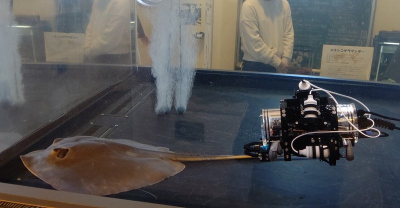 Rovっていう遠隔操作できる無人水中ロボットの体験会を開催 サラッと操作できるデジタル世代はすごいね 踊る公務員 秋田大介 Note Rovっていう遠隔操作できる無人水中ロボットの体験会を開催 サラッと操作できるデジタル世代はすごいね 踊る公務員 秋田大介 Note