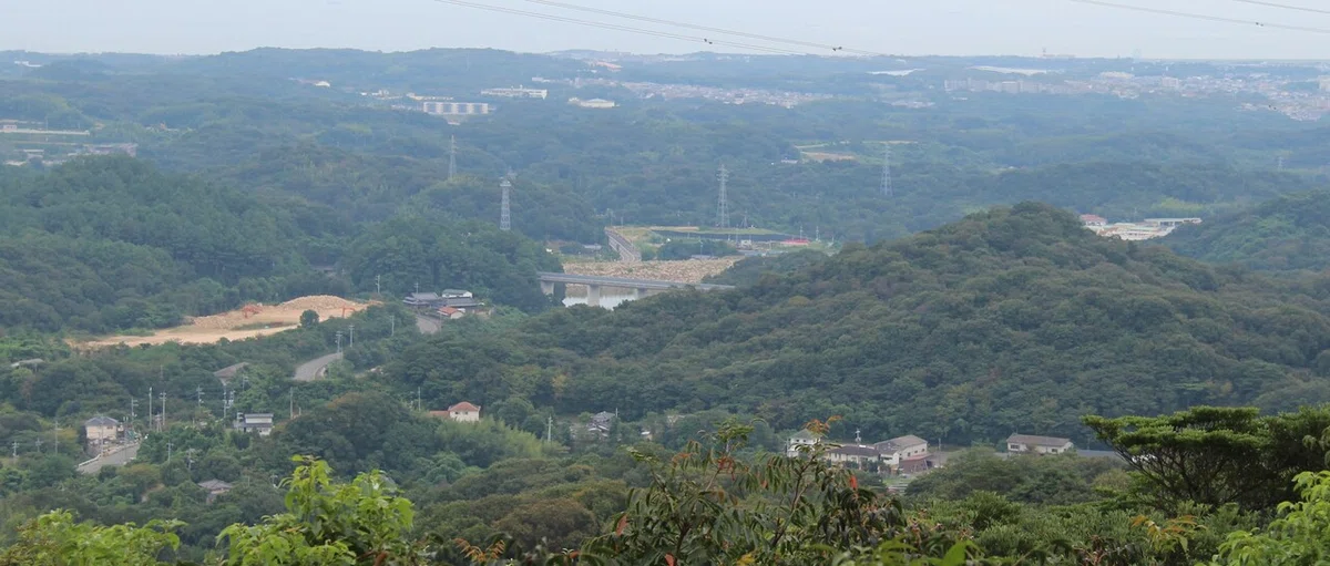 画像11