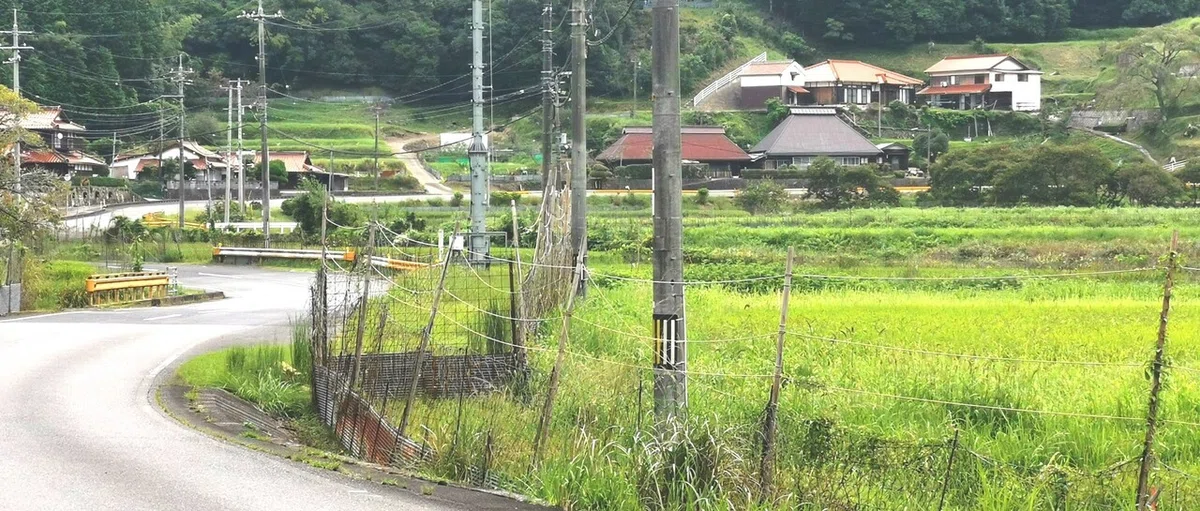 画像13