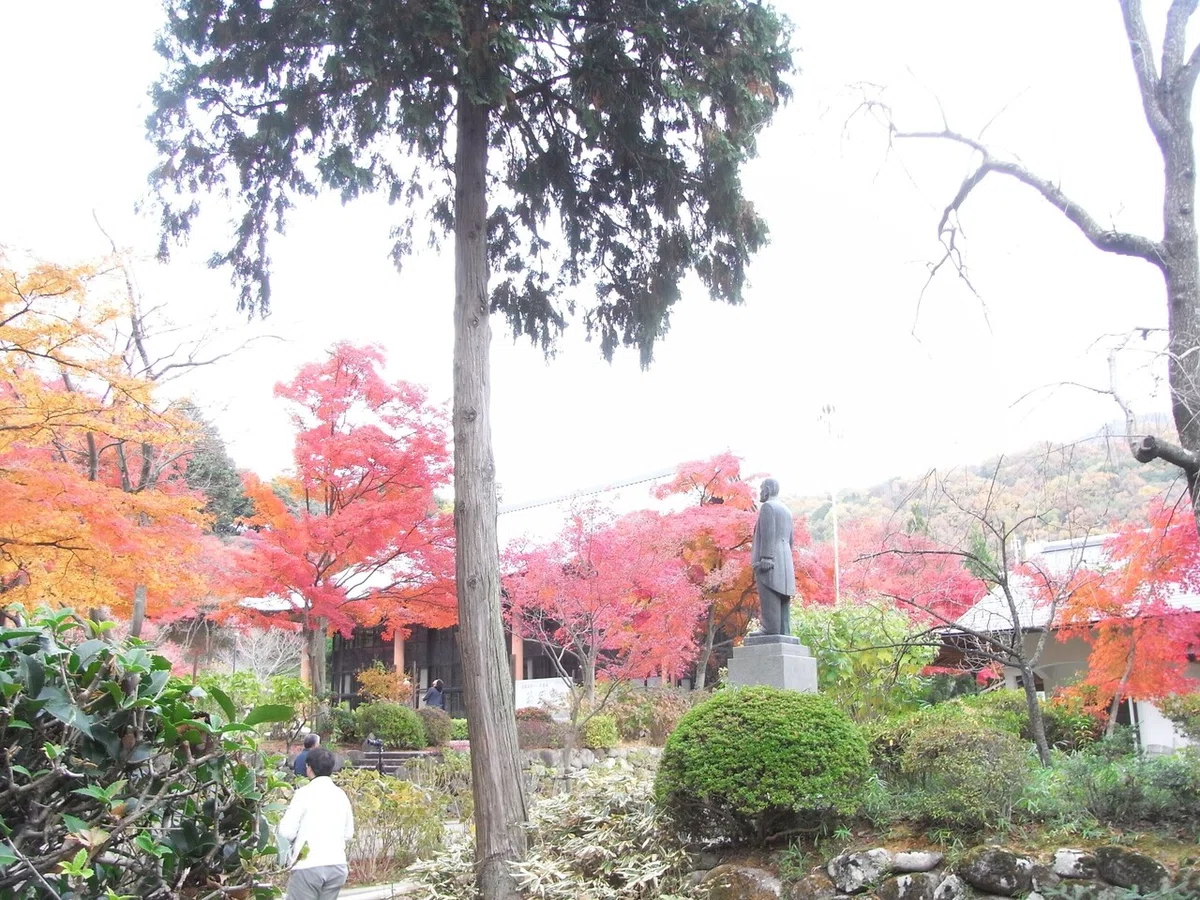 画像4