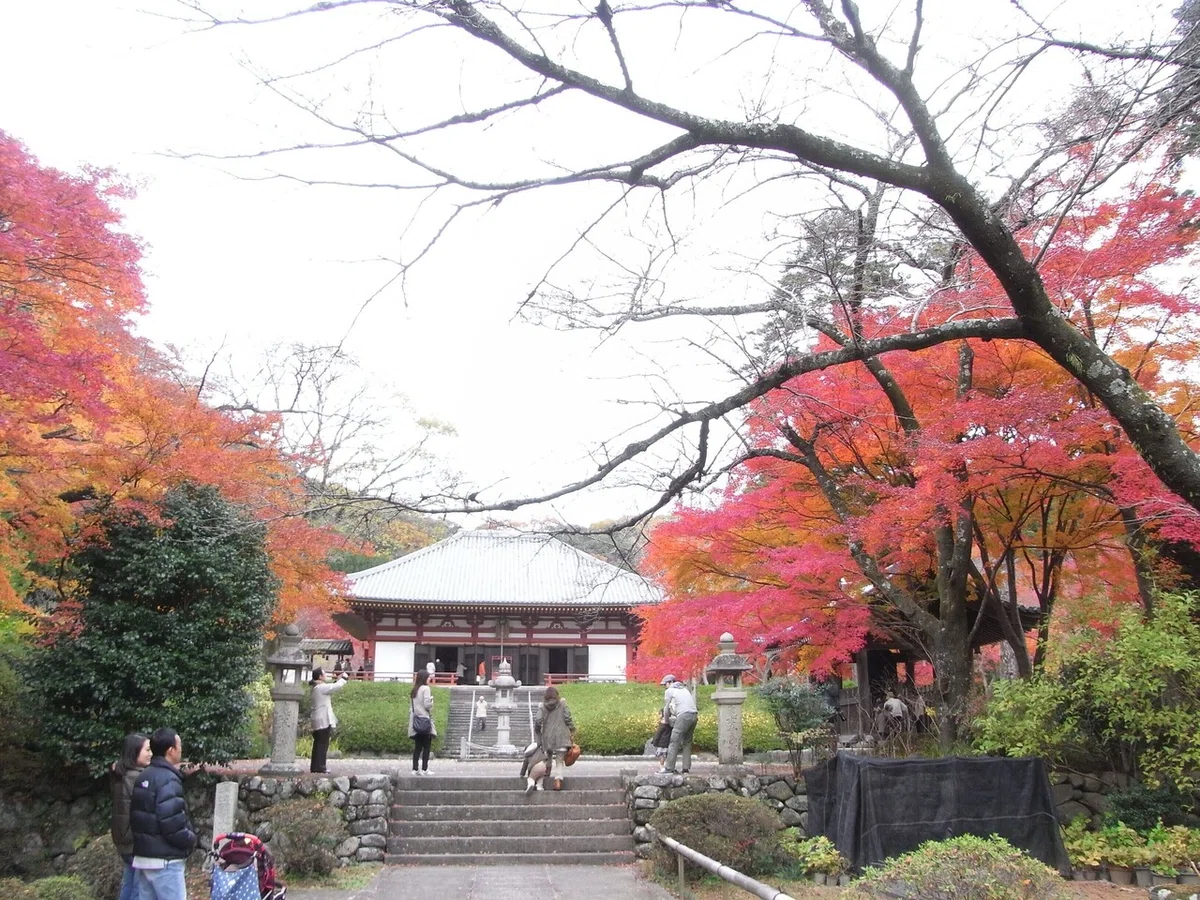 画像5