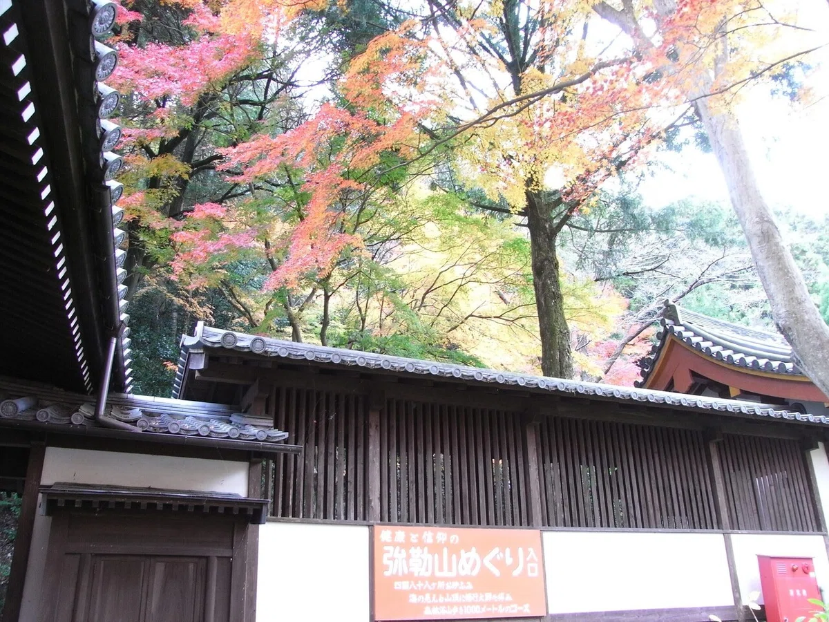 画像6