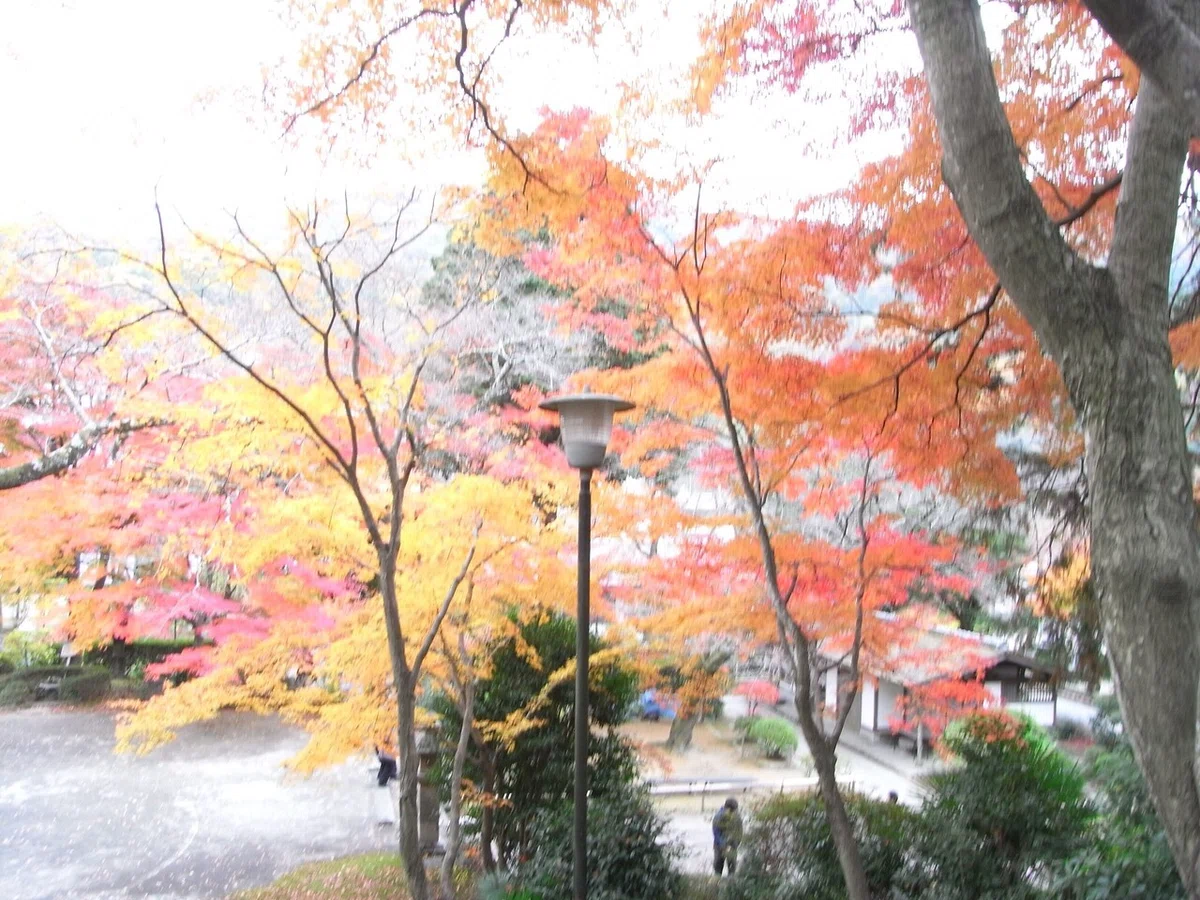 画像7