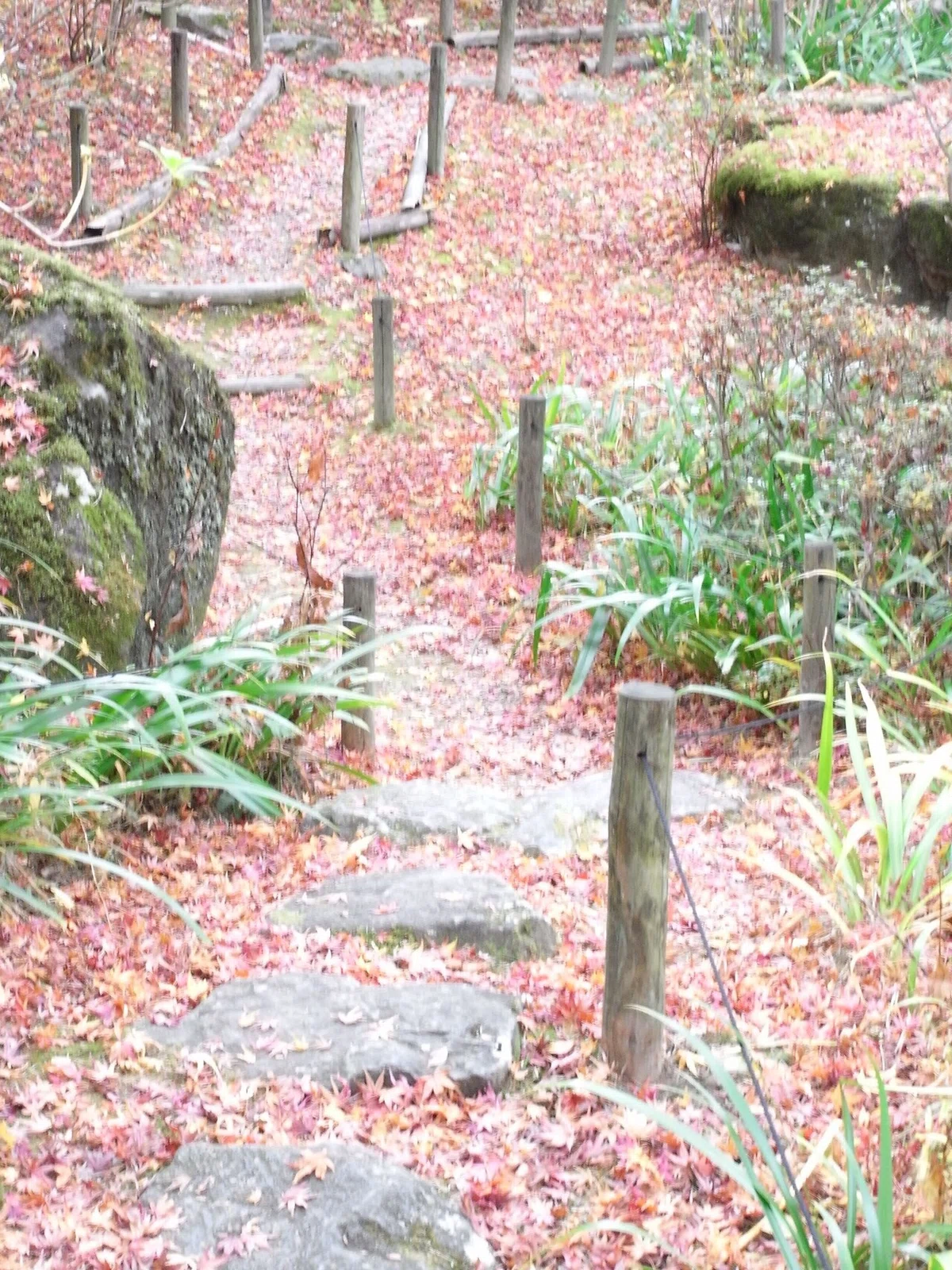 画像8