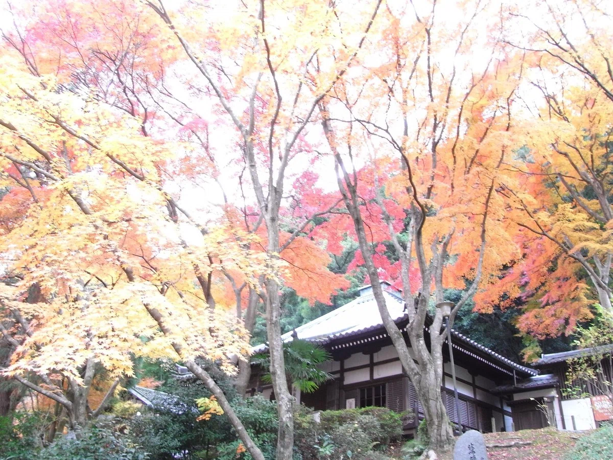 画像9