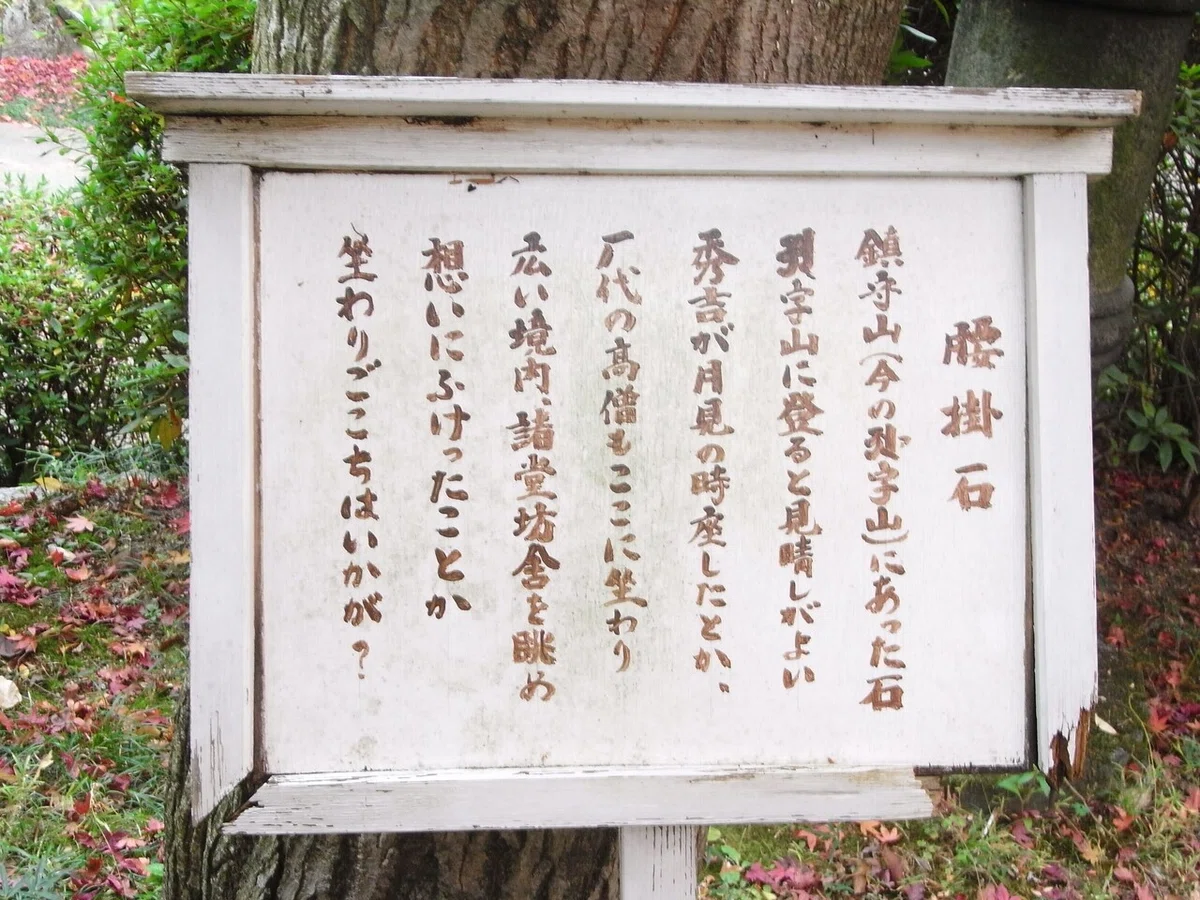 画像14