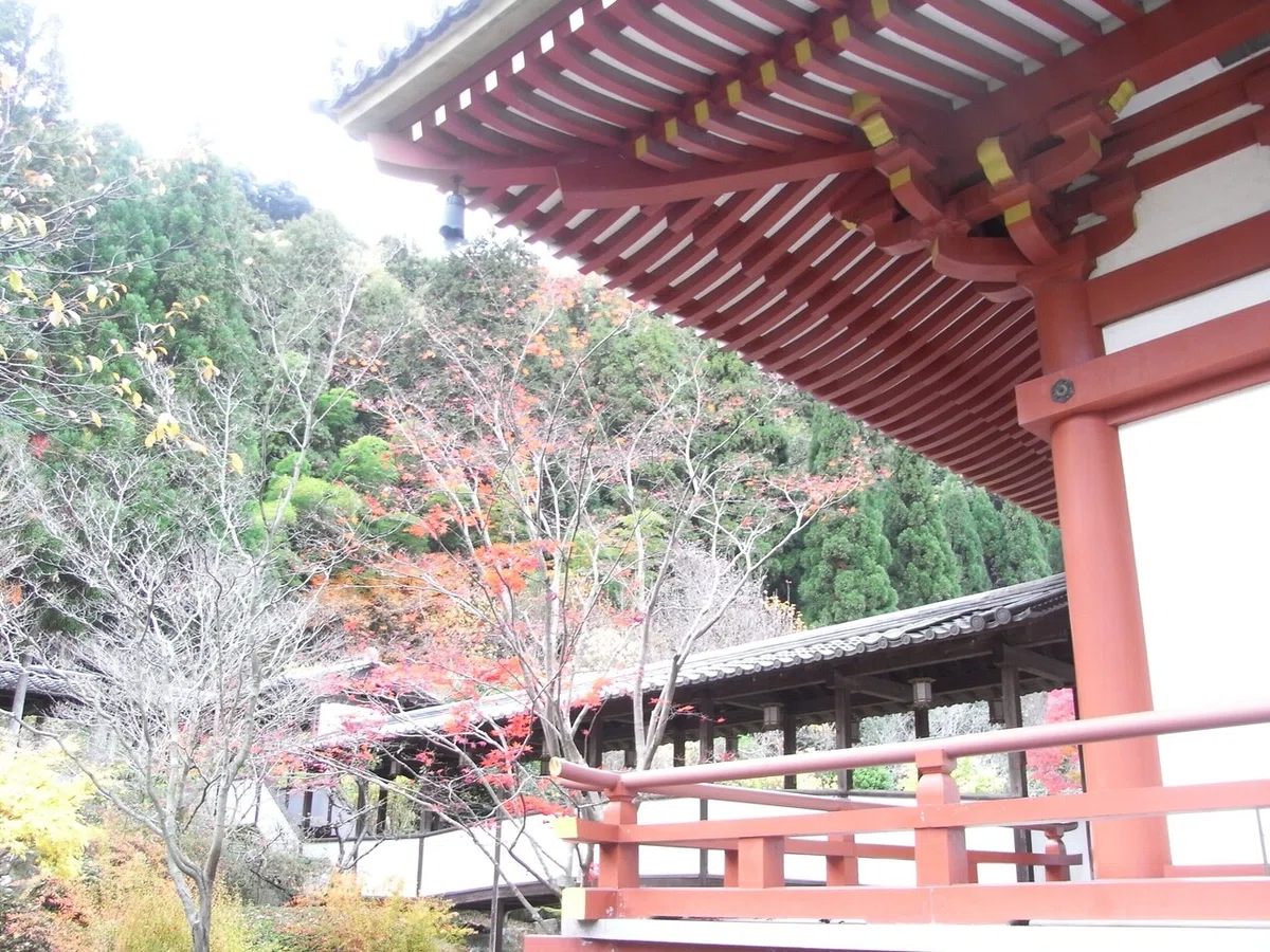 画像19