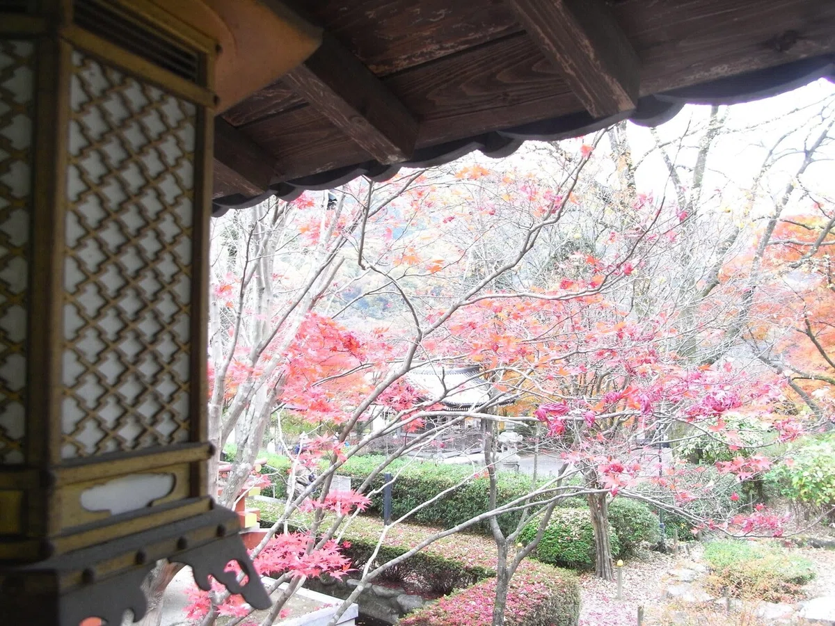 画像21