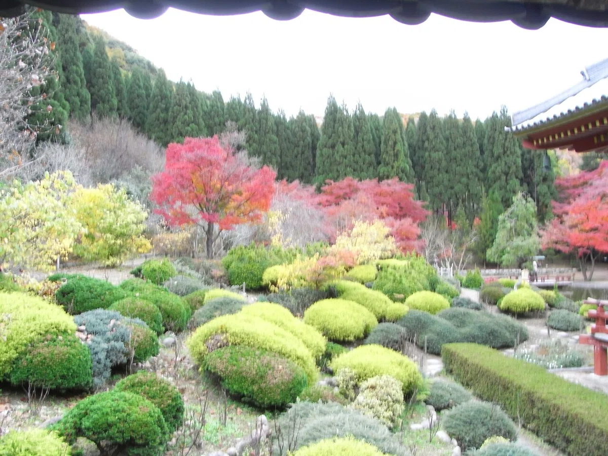 画像24