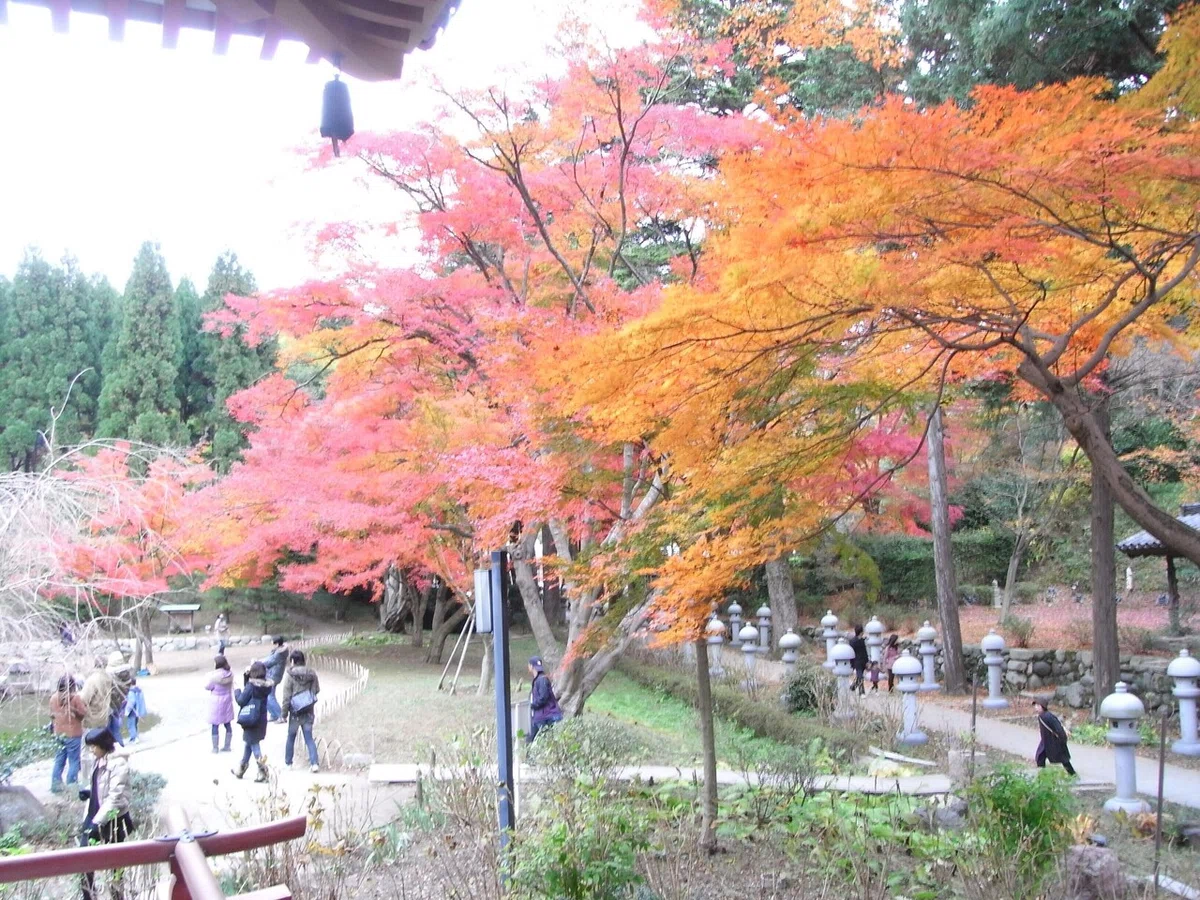 画像25