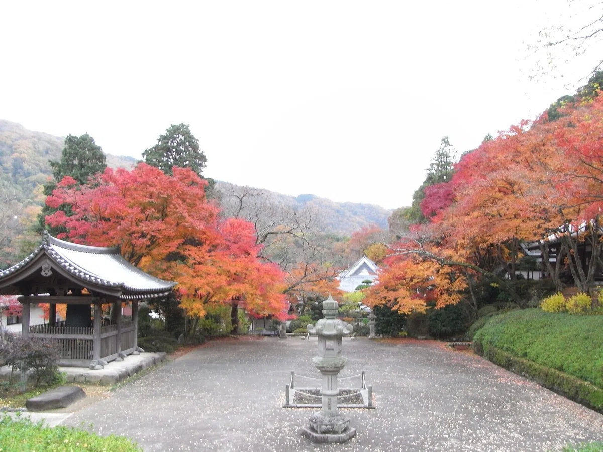 画像26
