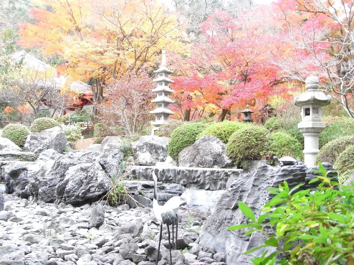 画像27