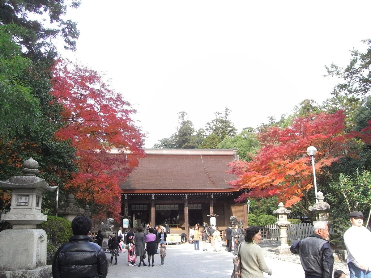 画像4