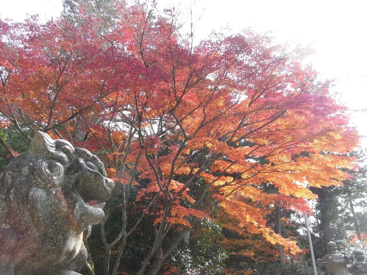 画像9