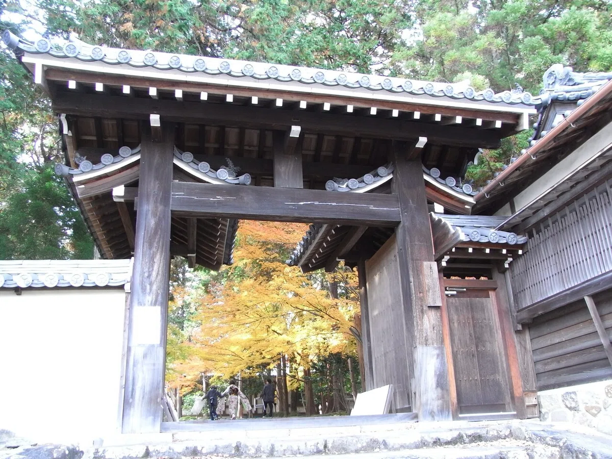 画像12