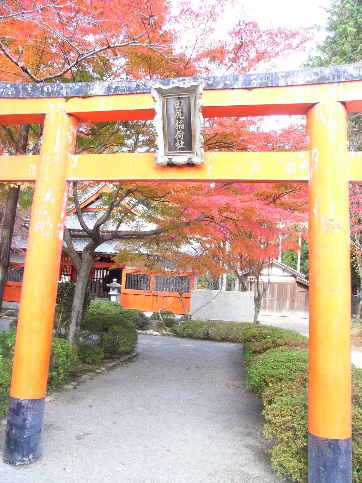 画像13