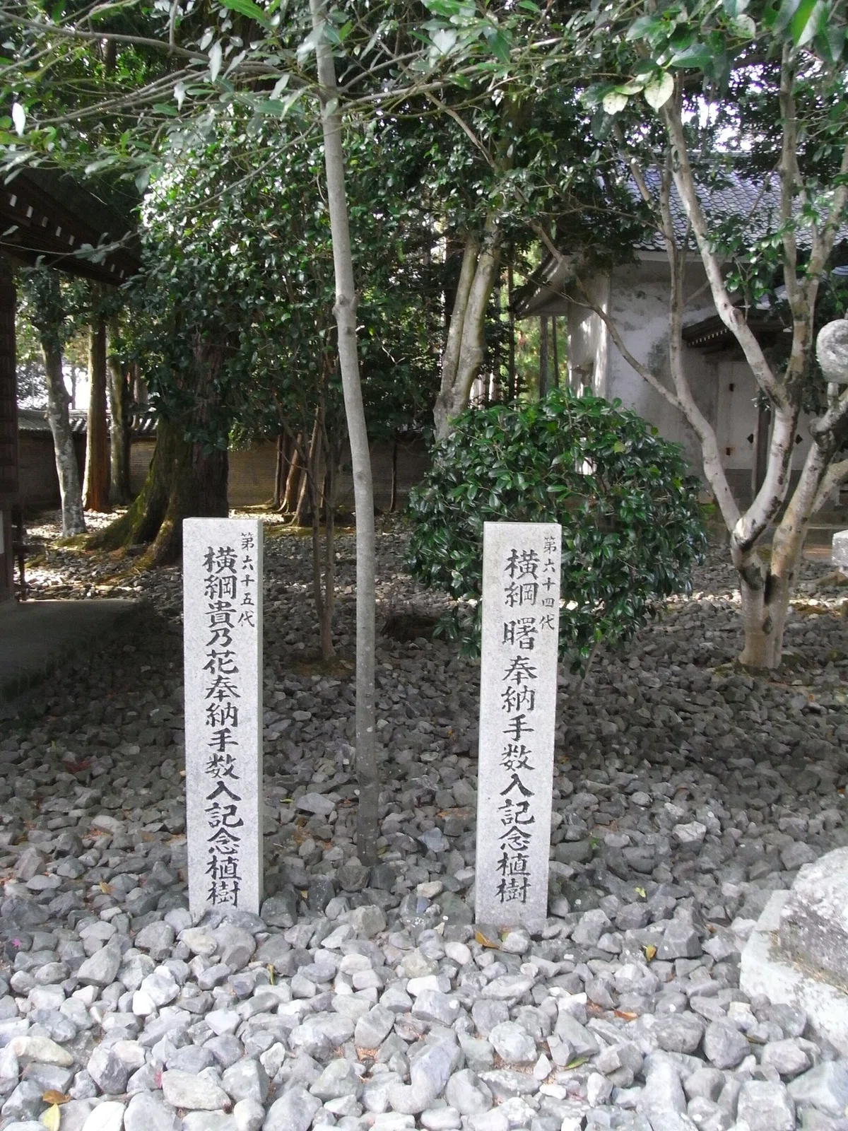 画像20
