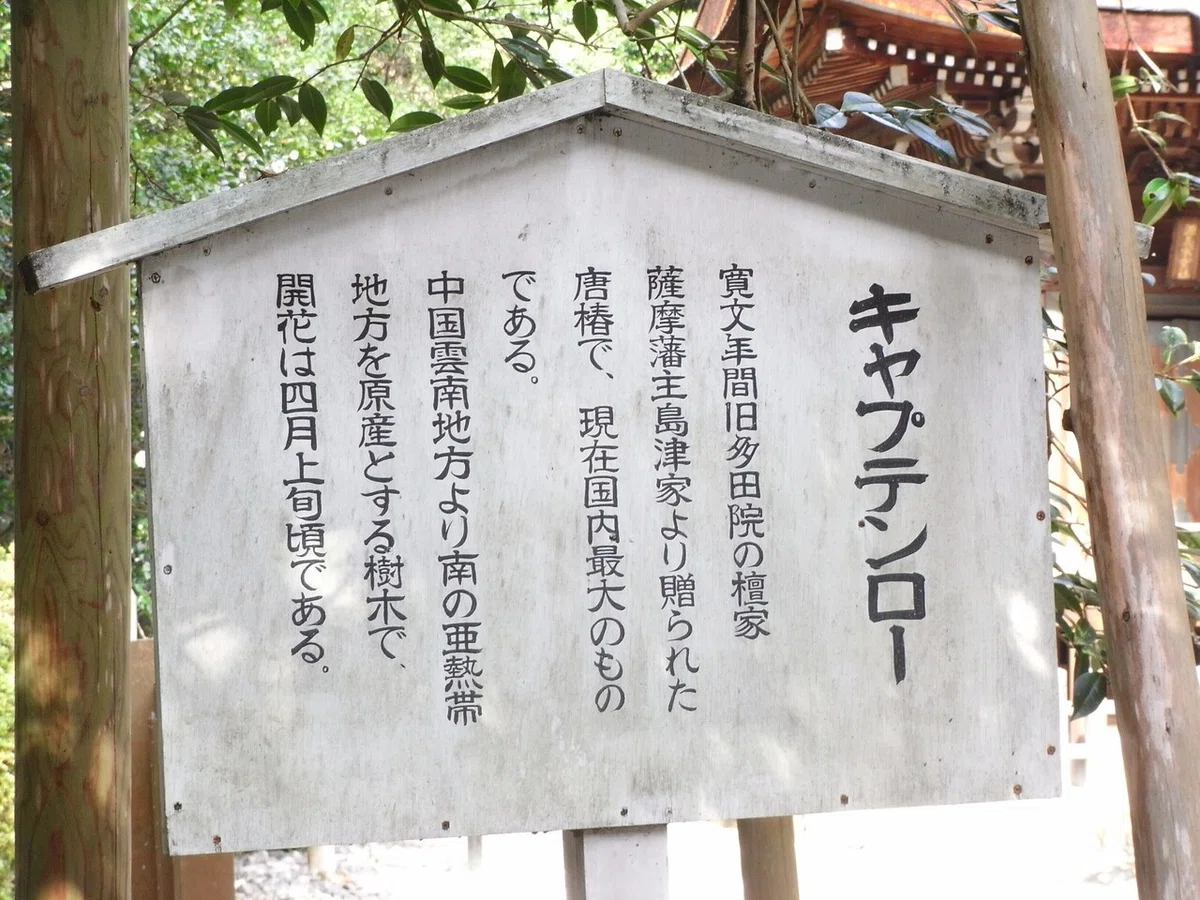 画像21