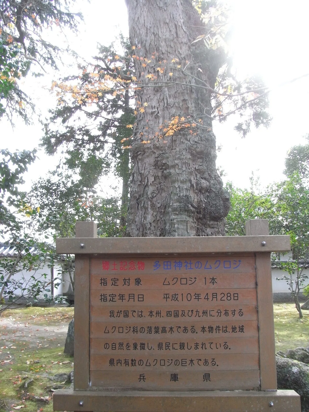 画像22