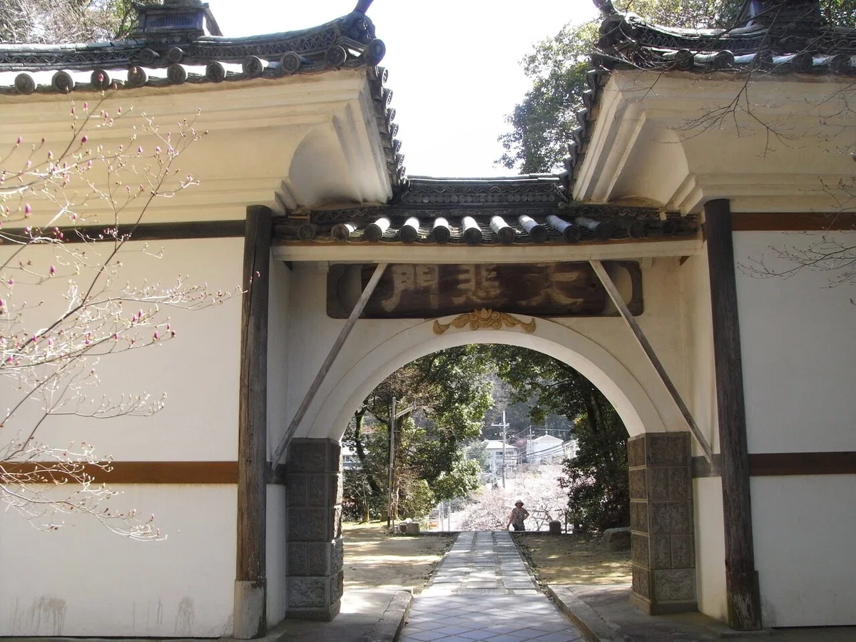 画像4