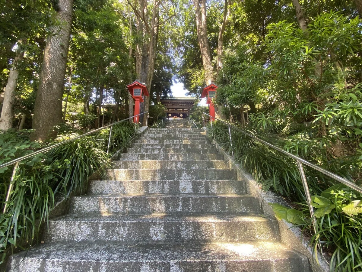画像4
