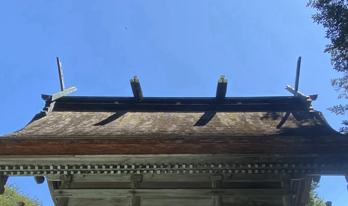 画像8