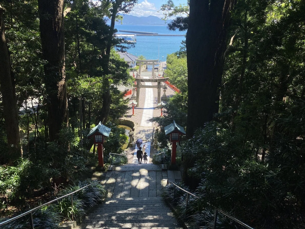 画像9