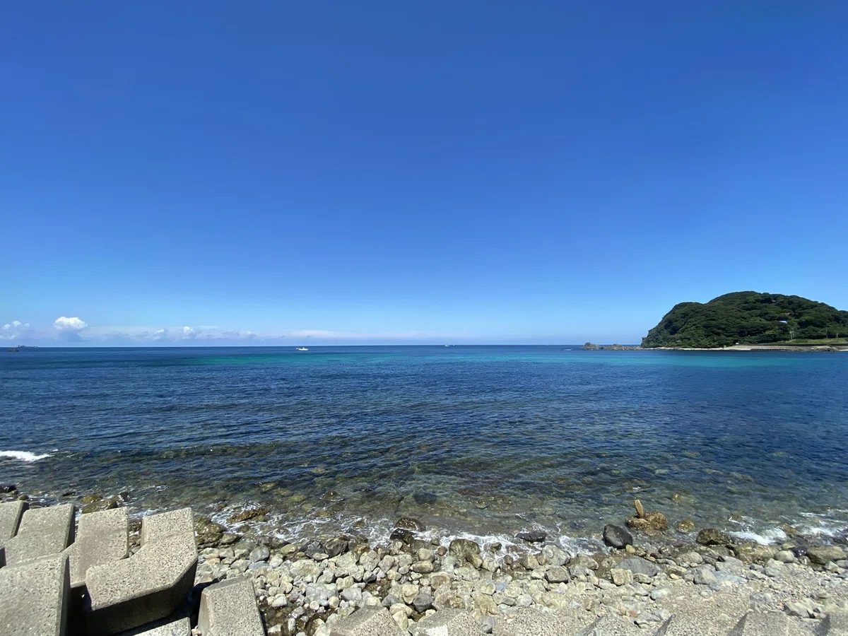 画像12