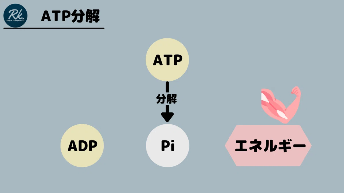競技力向上に必要な知識｜小林龍樹＠理学療法士