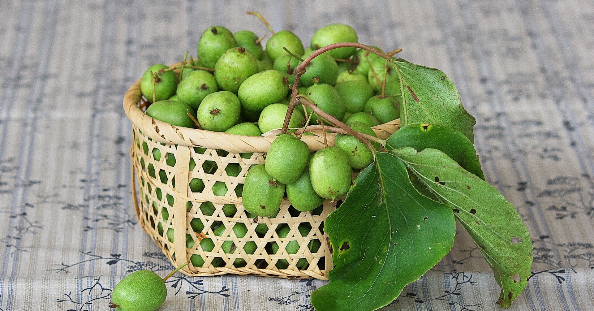 赤瀬さるなしについて 加賀藩御用菓子司 森八 中宮千里 Note 赤瀬さるなしについて 加賀藩御用菓子司 森八 中宮千里 Note