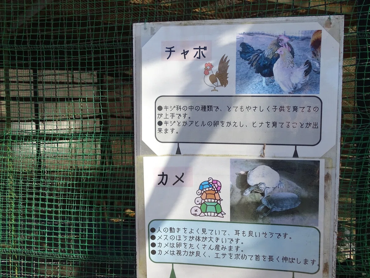 画像24