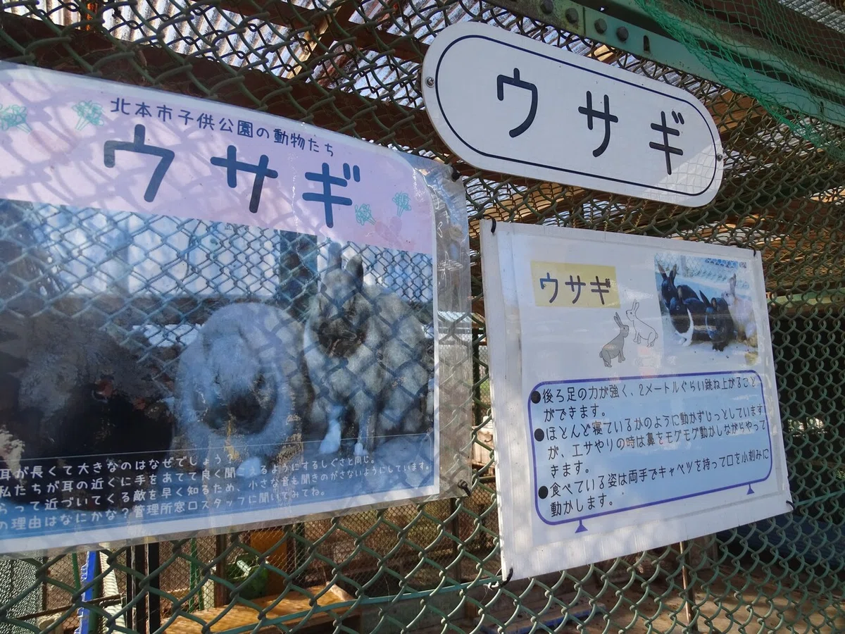 画像29