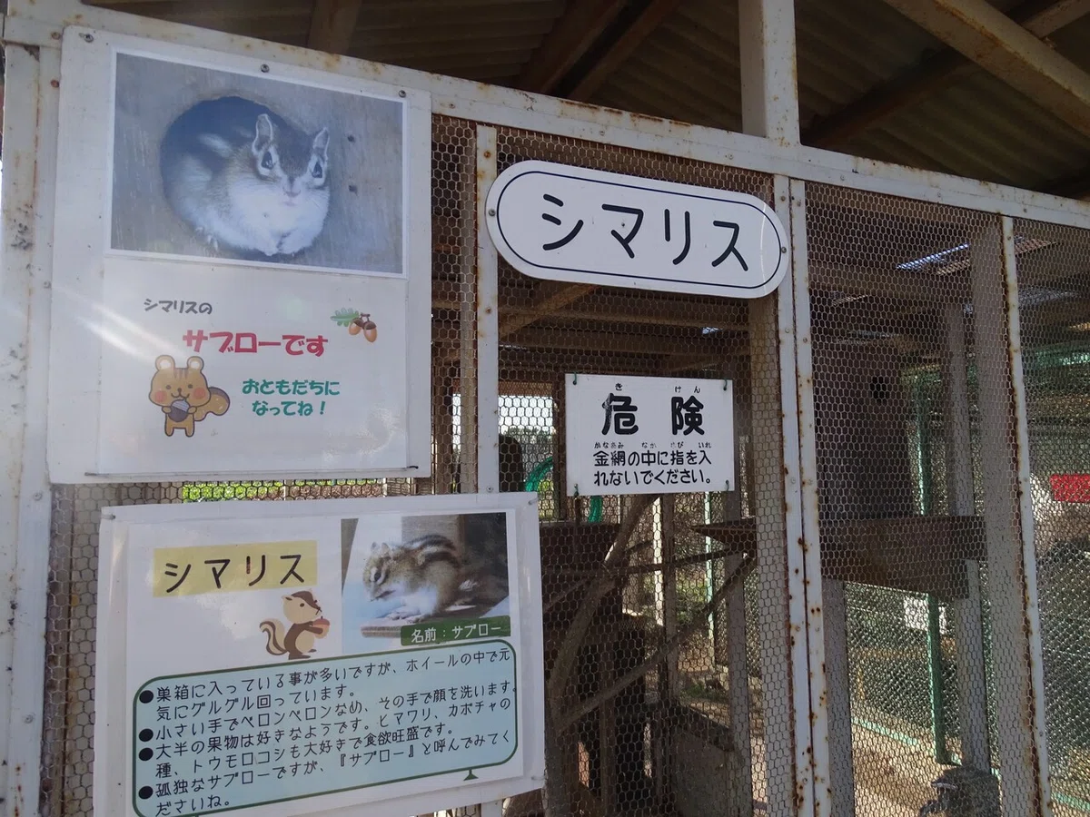 画像45