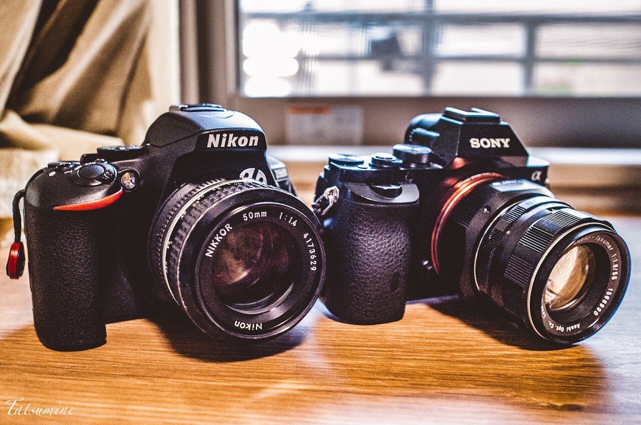 SONY α7RとPENTAX SUPER TAKUMAR 55mm F1.8|tatsumine SONY α7RとPENTAX SUPER TAKUMAR 55mm F1.8|tatsumine