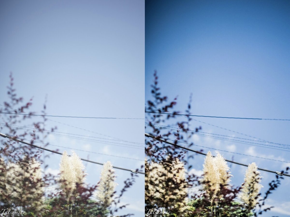 SONY α7RとPENTAX SUPER TAKUMAR 55mm F1.8|tatsumine SONY α7RとPENTAX SUPER TAKUMAR 55mm F1.8|tatsumine