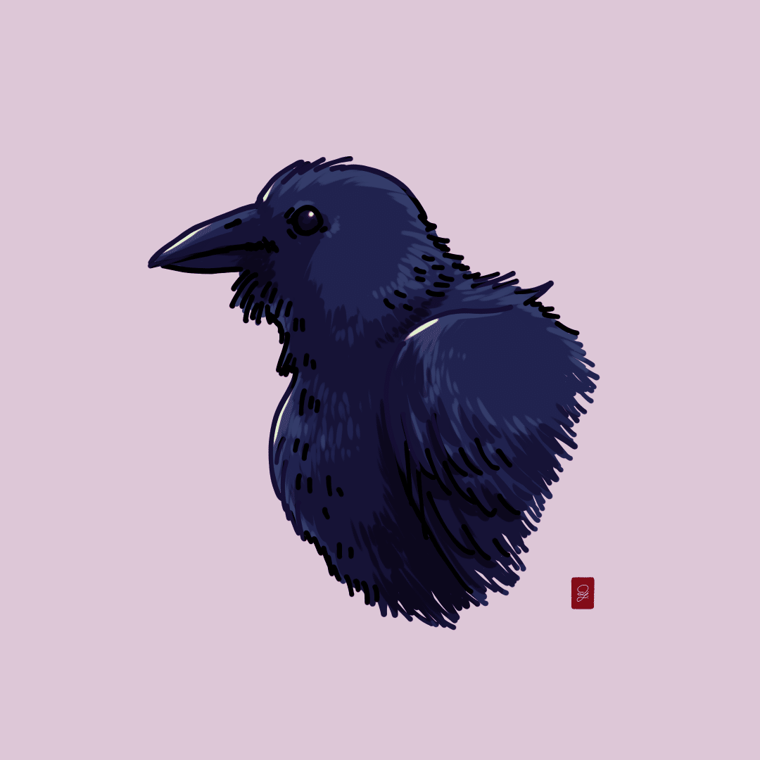 一日一絵 鴉の早描き Q Yoneda Note