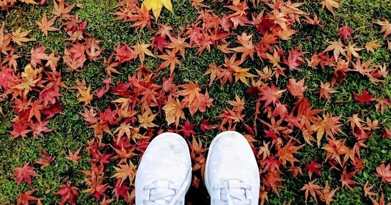 紅葉の季節ーもみじとカエデは何が違うの おすすめのカエデも紹介 Haco Garden Design ガーデンプランナー 庭や植物のある暮らしの情報 Note 紅葉の季節ーもみじとカエデは何が違うの おすすめのカエデも紹介 Haco Garden Design ガーデンプランナー 庭や植物のある暮らしの情報 Note