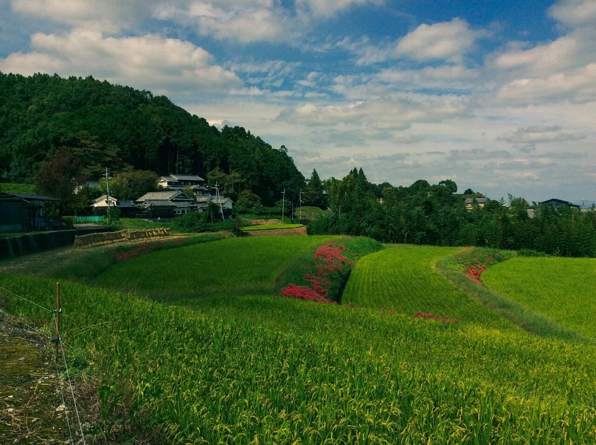画像7