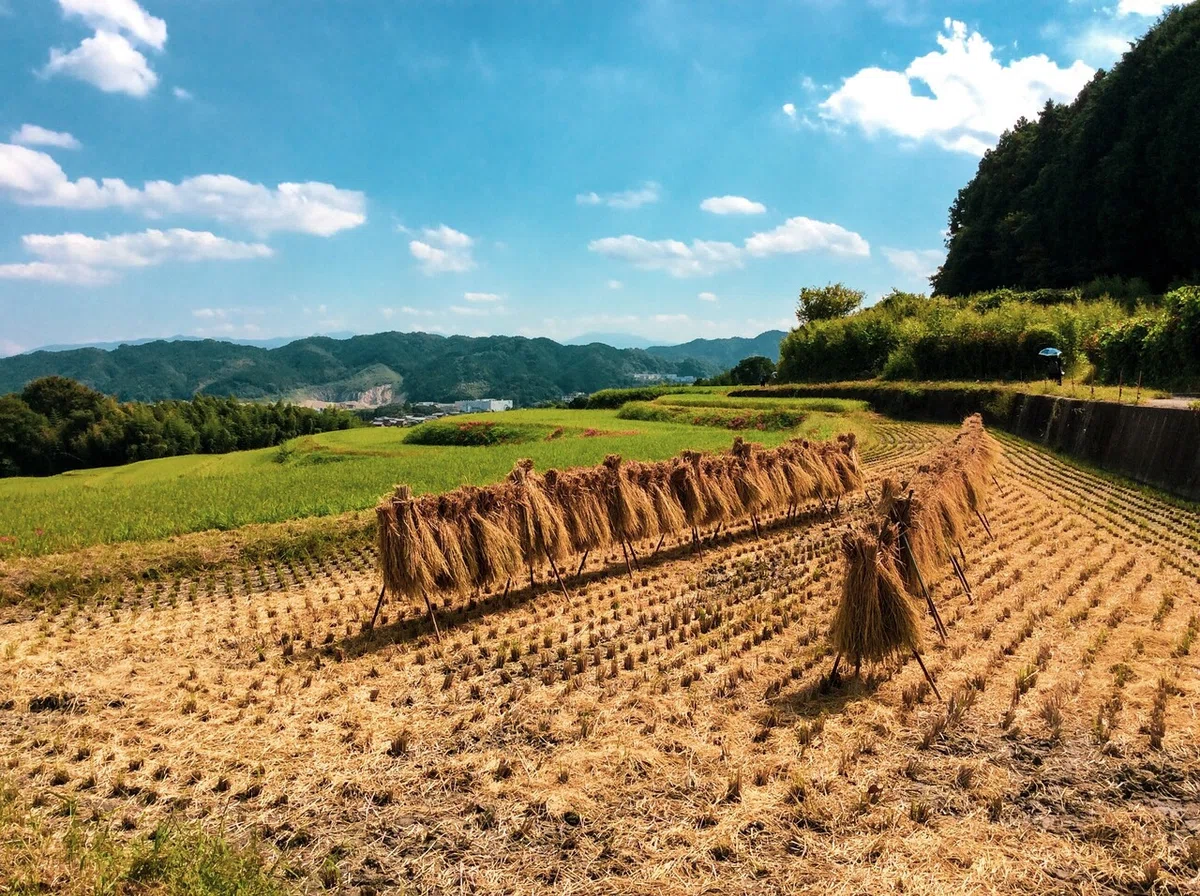 画像9
